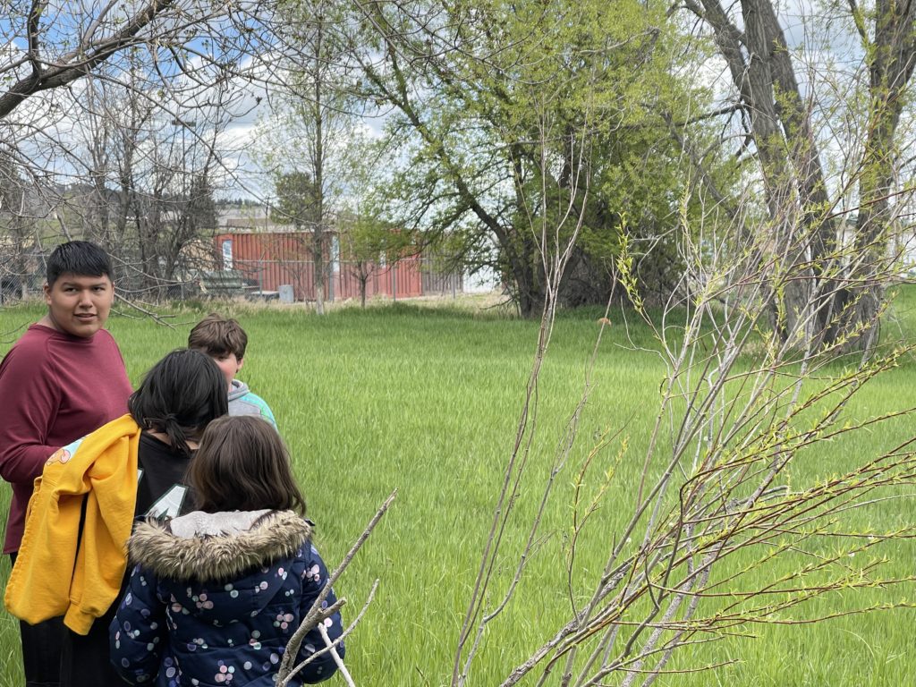 OSELC learners watching a fox in the distance